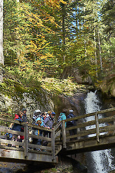 Herbst-Wanderung